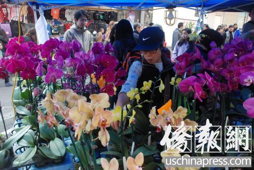 �ɽ�ɽ�й��Ǻ����´�����ǳ���λ��ѡ��Ա����