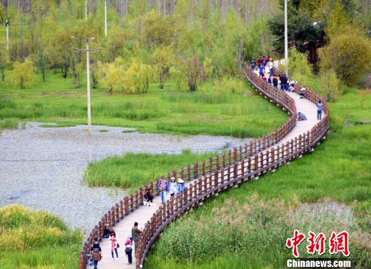 ��������ݺ����߻��š�(���� ��) ���� ��