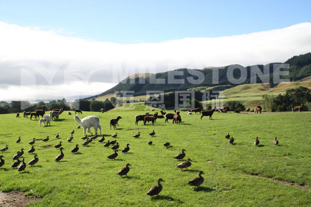 ����Ҫ֪���Ĺ��ڰ��޷����ֽ���������