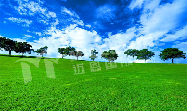 Ͷ�ʰ��޷��� ī����������ǰ���ɹ�