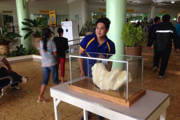 �����������ڵ��ر�չ����