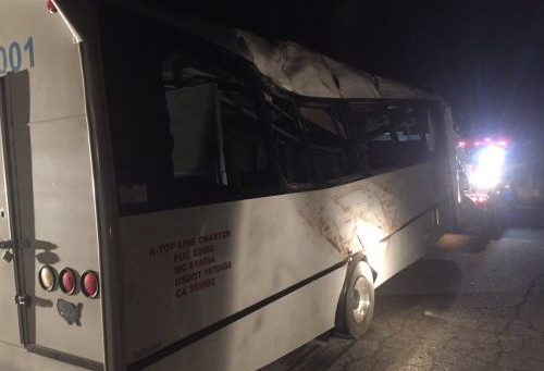 �¹ʺ��ʿ״��