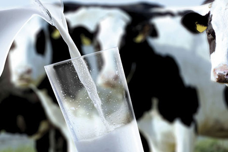 ��Ʒ�������������ǣ���۷��������ѳɶ���