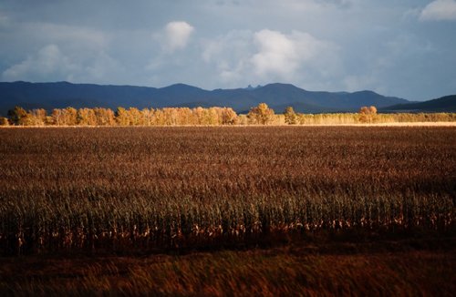 ����Ϊ��ͬ���ٹ�·��������ľ��ׯ�ڶ���һ���ɫ��10��9���㣩��