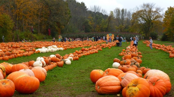 ����������ʥ������������84����Ԫ ����ʷ��¼