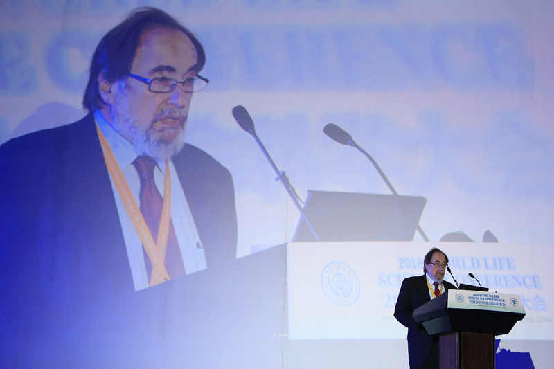 �����ϯ�������Ͷ���Ħ�ڻ����´ǡ�