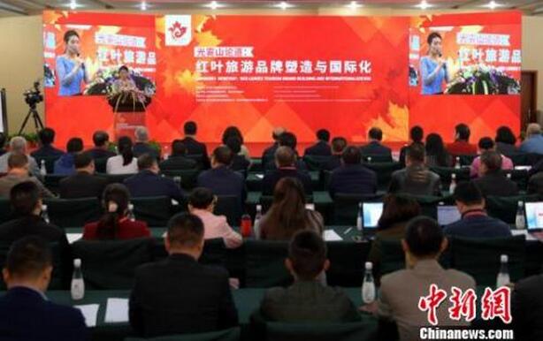 ������ר�ҡ�����ɽ�۵���_̽�ֺ�Ҷ����Ʒ����������ʻ�