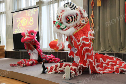 ����������ά����