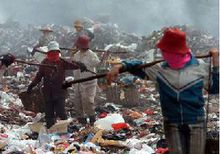 ����������Ⱦ����