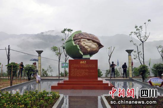 ��Դ�������硱������ ��