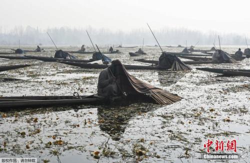 ���������һҳ