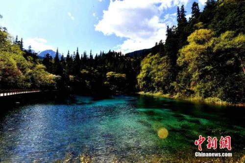 ���������һҳ