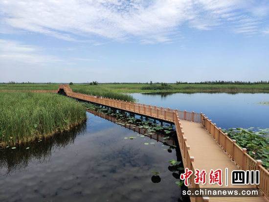 �۰������������̬���ۡ�