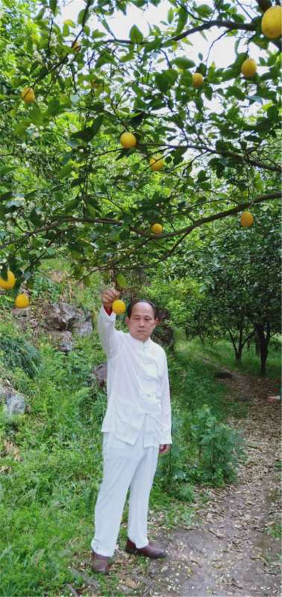 �й�������ɫҽ�Ƹβ�ר��---�γ���