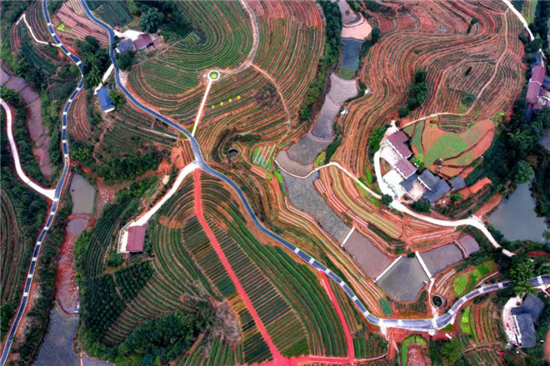 �˱��в��ҵ�о�Ժ������ʽ����