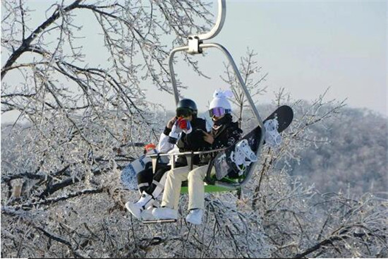 ������λ��2020����й���������top1