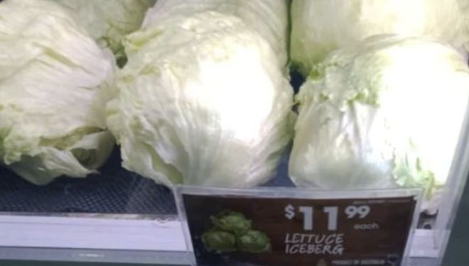 aaaadddllllyyy下载.jpg aaaadddllllyyy下载.jpg