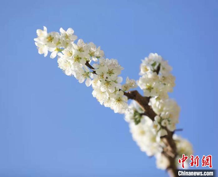 �ʢ���������庣 ��