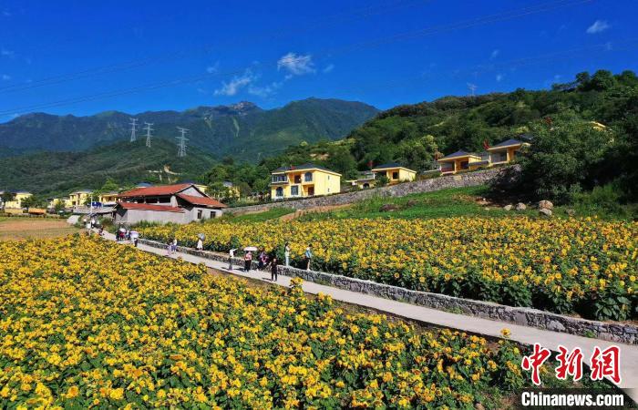 ����Ķ���տ������������š������庣 ��