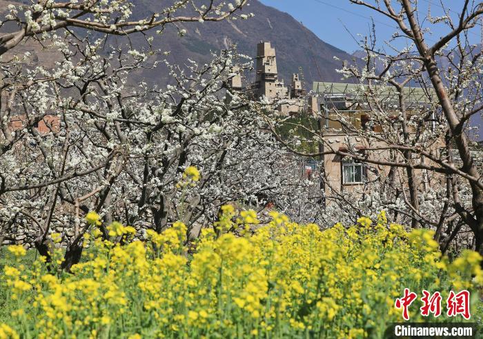 ��׵�����կ�����ӳ�����ճ�һ�������ĺ�г��̬�����������庣 ��