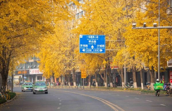 �ļ����򡤶����ƴ���