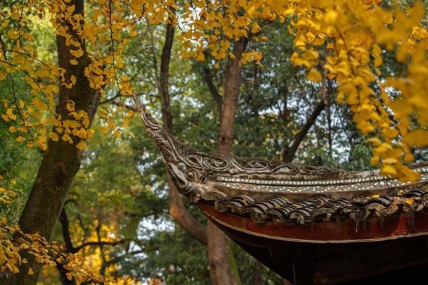 �ļ����򡤶����ƴ���