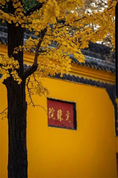 �ļ����򡤶����ƴ���