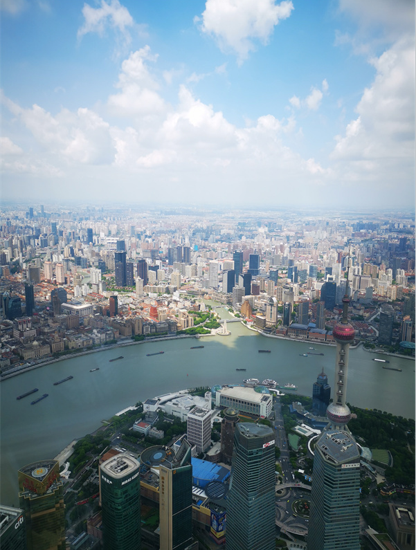 2024���⻪��ý���Ϻ��ɷ������վ۽����ĸ�ǰ�ء��ֶ�����̽��չ����